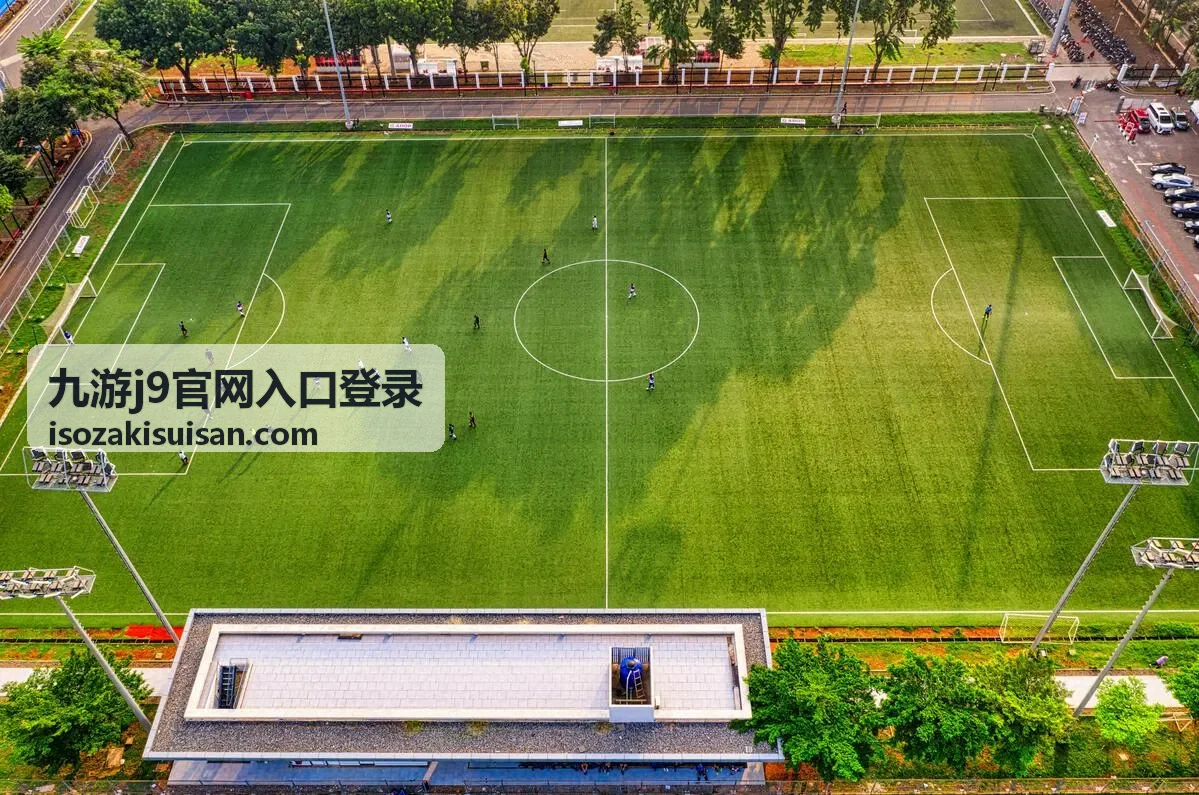 九游j9官网入口登录页面加载排查